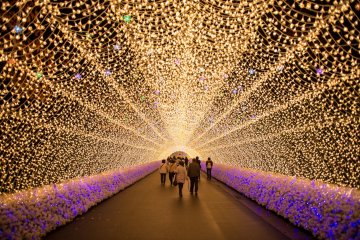 Nabana no Sato Illumination