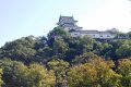 Wakayama City