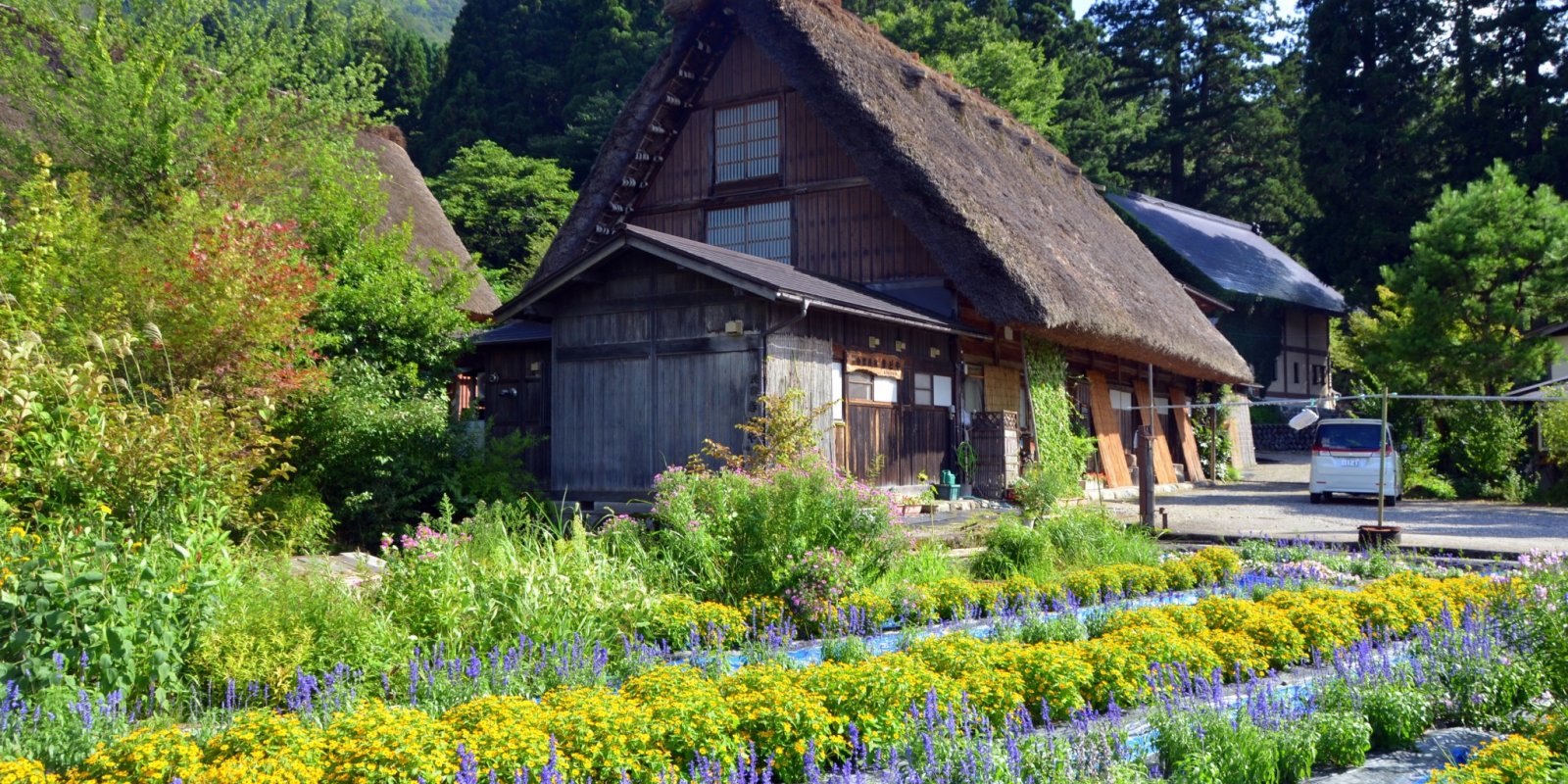 region image