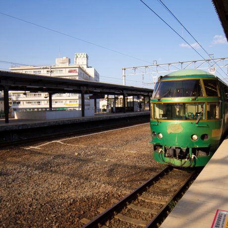 Sightseeing Trains