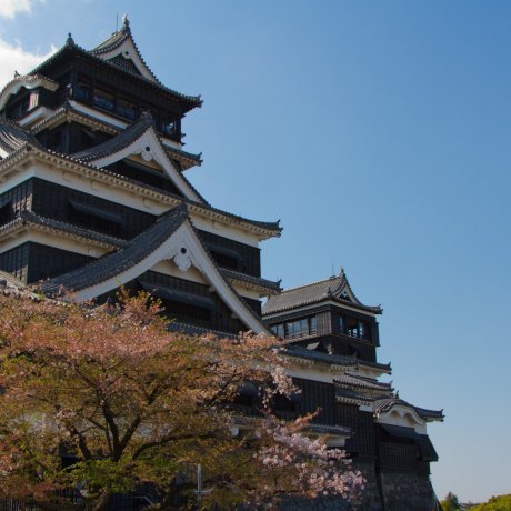 Kumamoto City