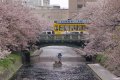 Toyama City