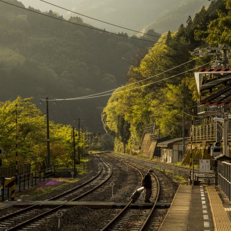 Japan's Top Castles