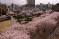 Kofu
