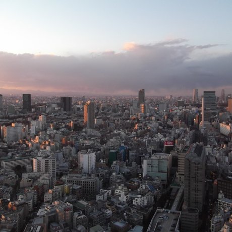 Ebisu