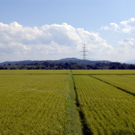 Kitakata