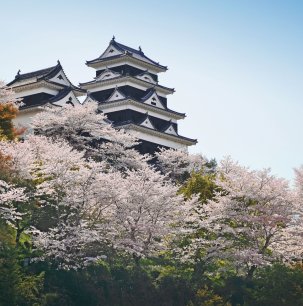 Ozu Castle in cherry blossom season