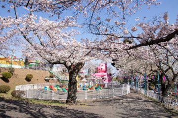 Spring Festival at Kamine Park