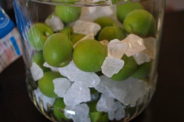 Otaru Umeshu Festival