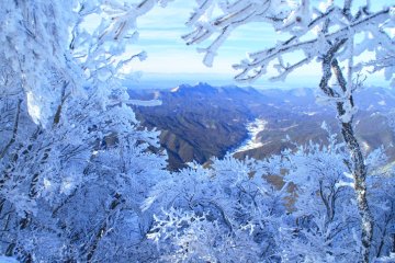 Mount Miune Rime Ice Festival