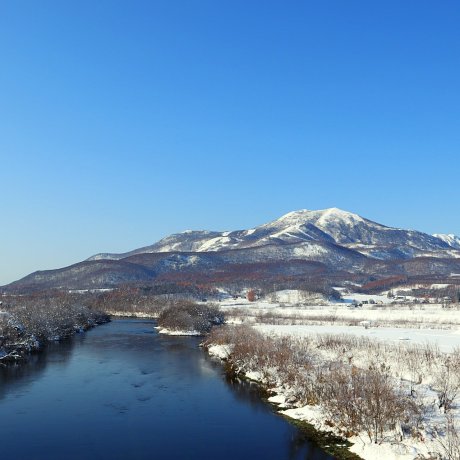 Kutchan
