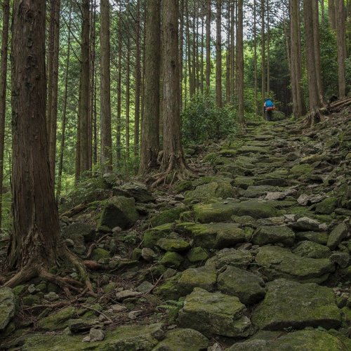 Iseji Route