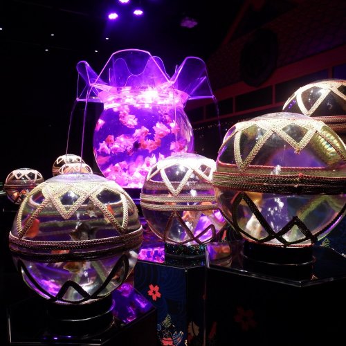 Art Aquarium Museum