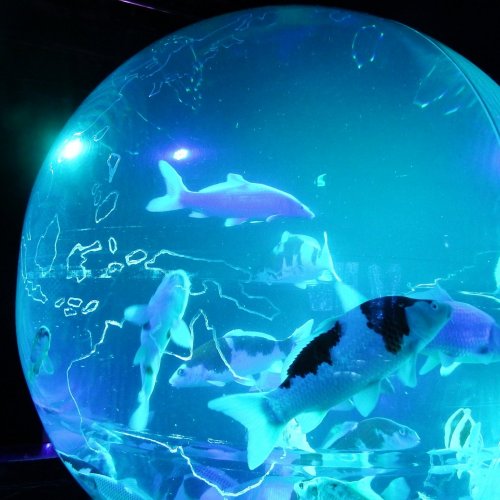 Art Aquarium Museum