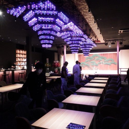 Art Aquarium Museum