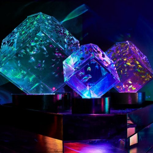 Art Aquarium Museum