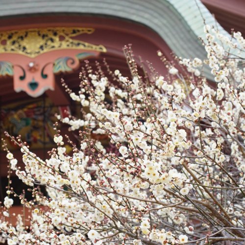 Kitano Tenmangu
